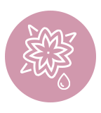 Nair - Adicionado con flor de cerezo japonés y salvado de arroz